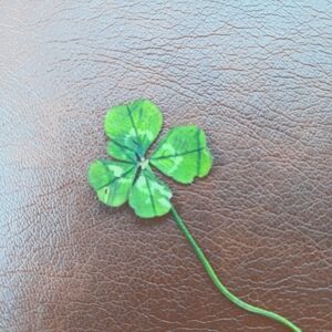 Meet your Posher, Jaime